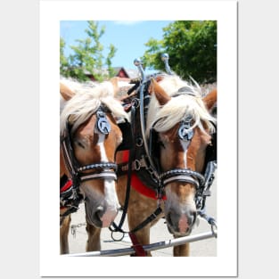 Working Horses at Solvang California Posters and Art